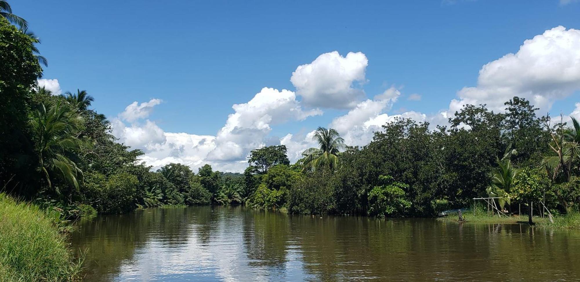 Hotel Veragua River House Sierpe Exterior foto
