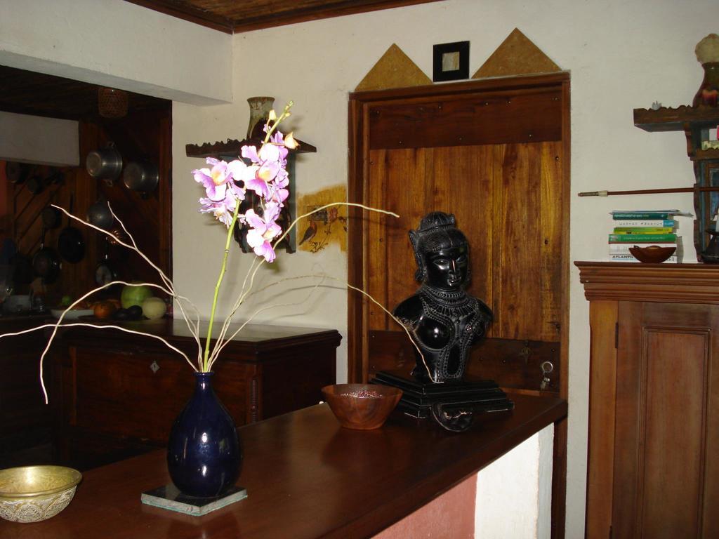 Hotel Veragua River House Sierpe Exterior foto